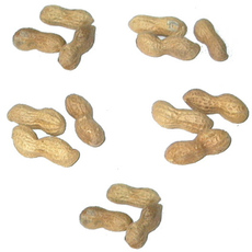 Erdnüsse-5x3.jpg